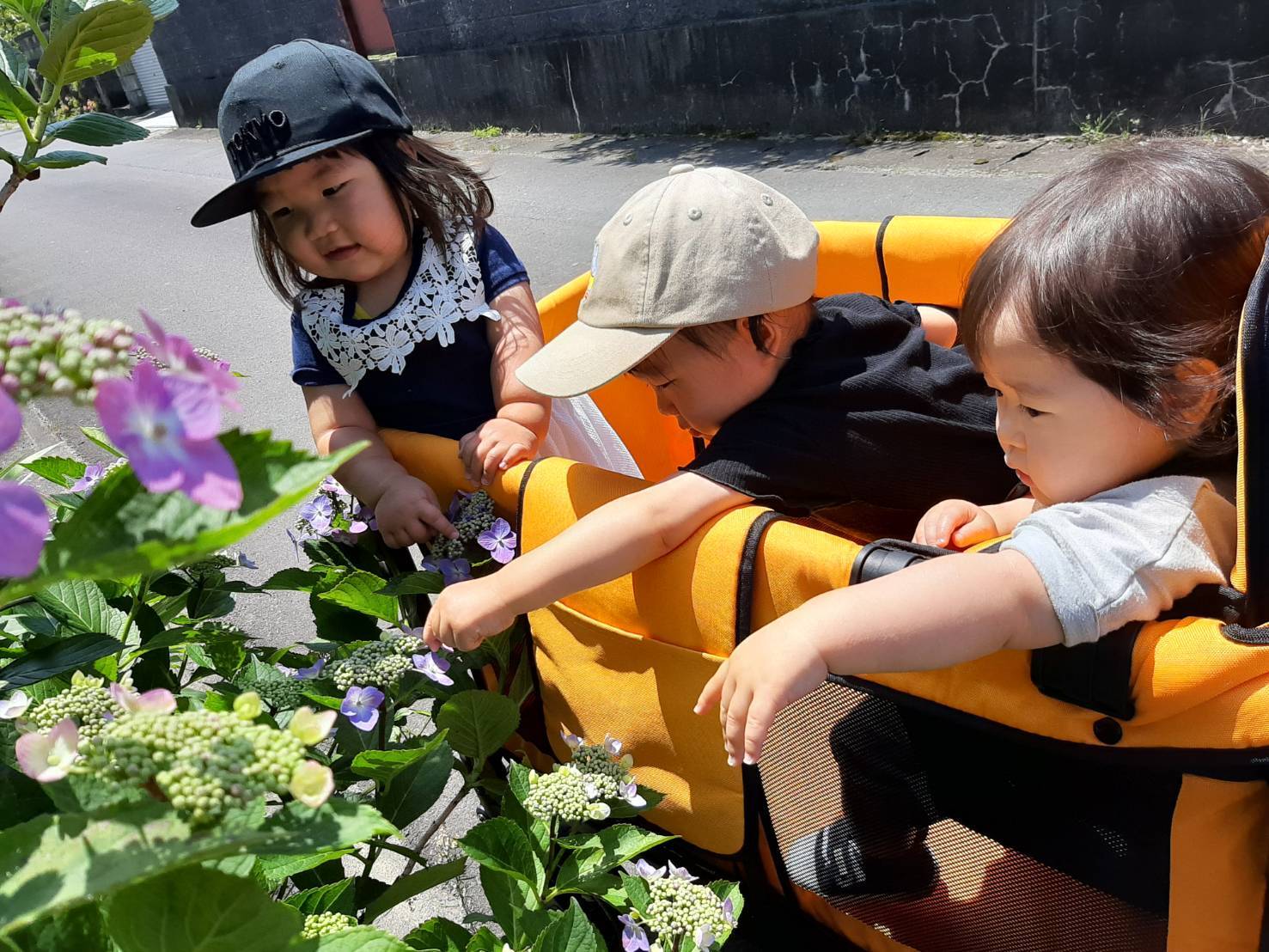 B1BE68A8-4D19-4B03-99DB-C52AFFC79B8B