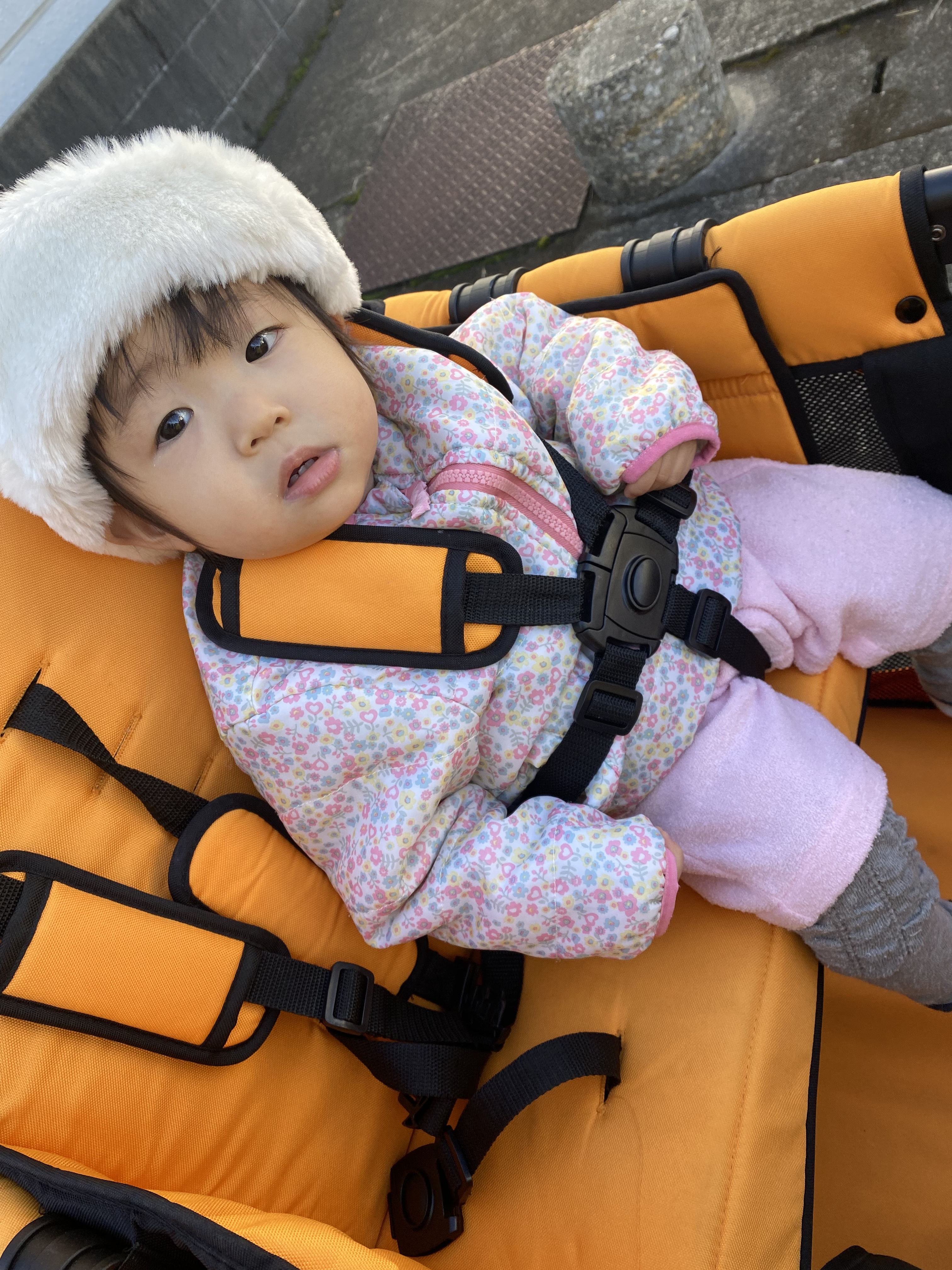 B66EDD59-D493-4271-B097-A5838A9ED6E4