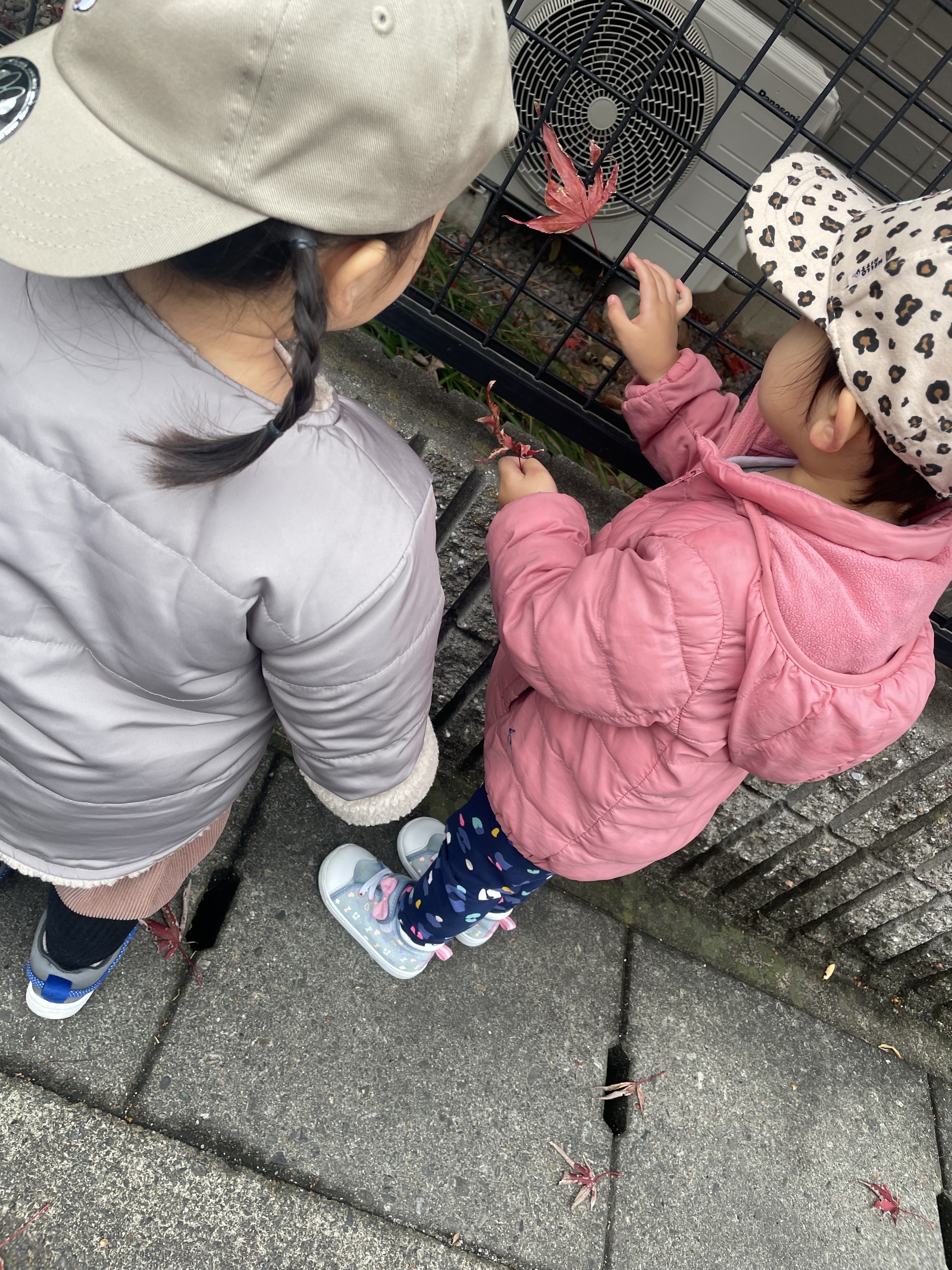 6407E009-3125-43F0-9424-A4B0334E6E8D