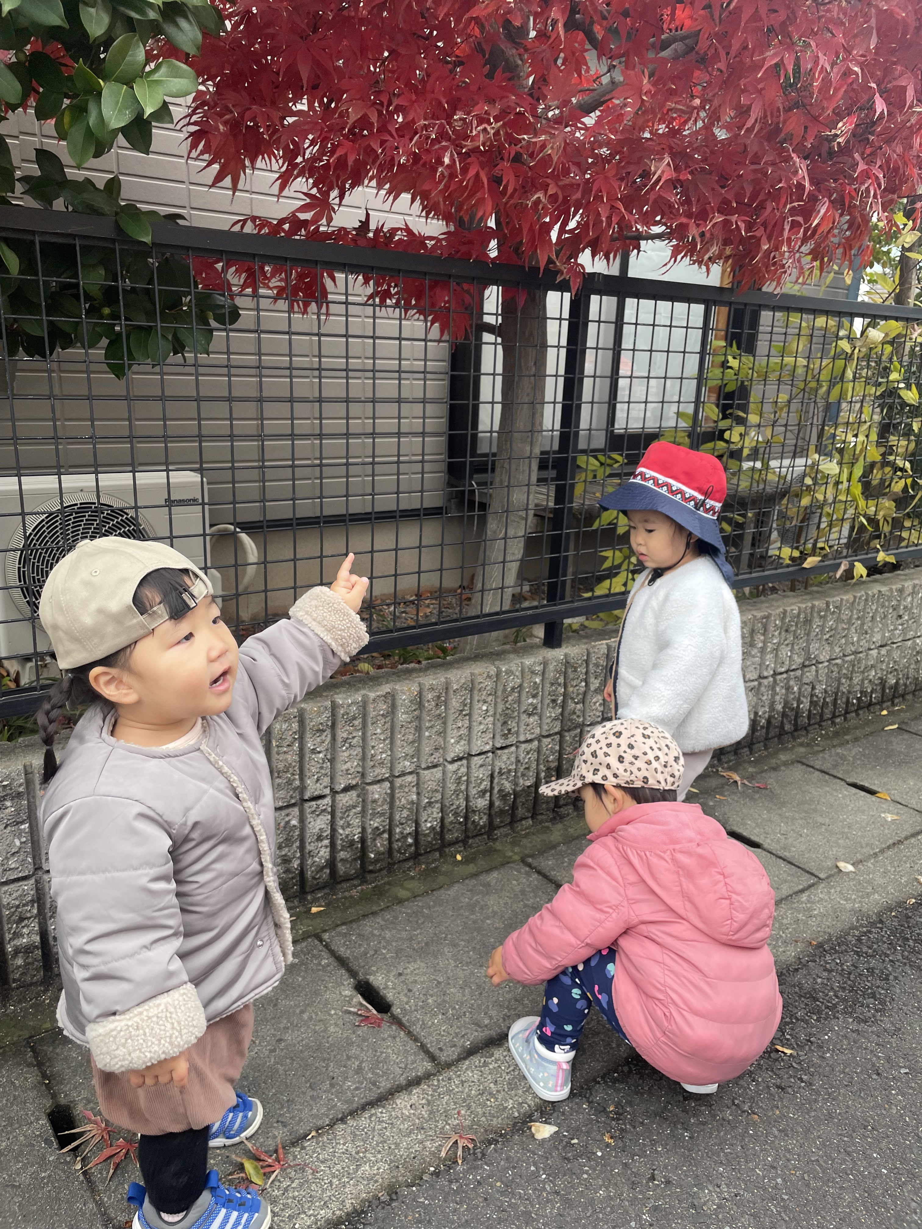 96422FB8-B51A-4F7E-BC43-1BCB108DD04A