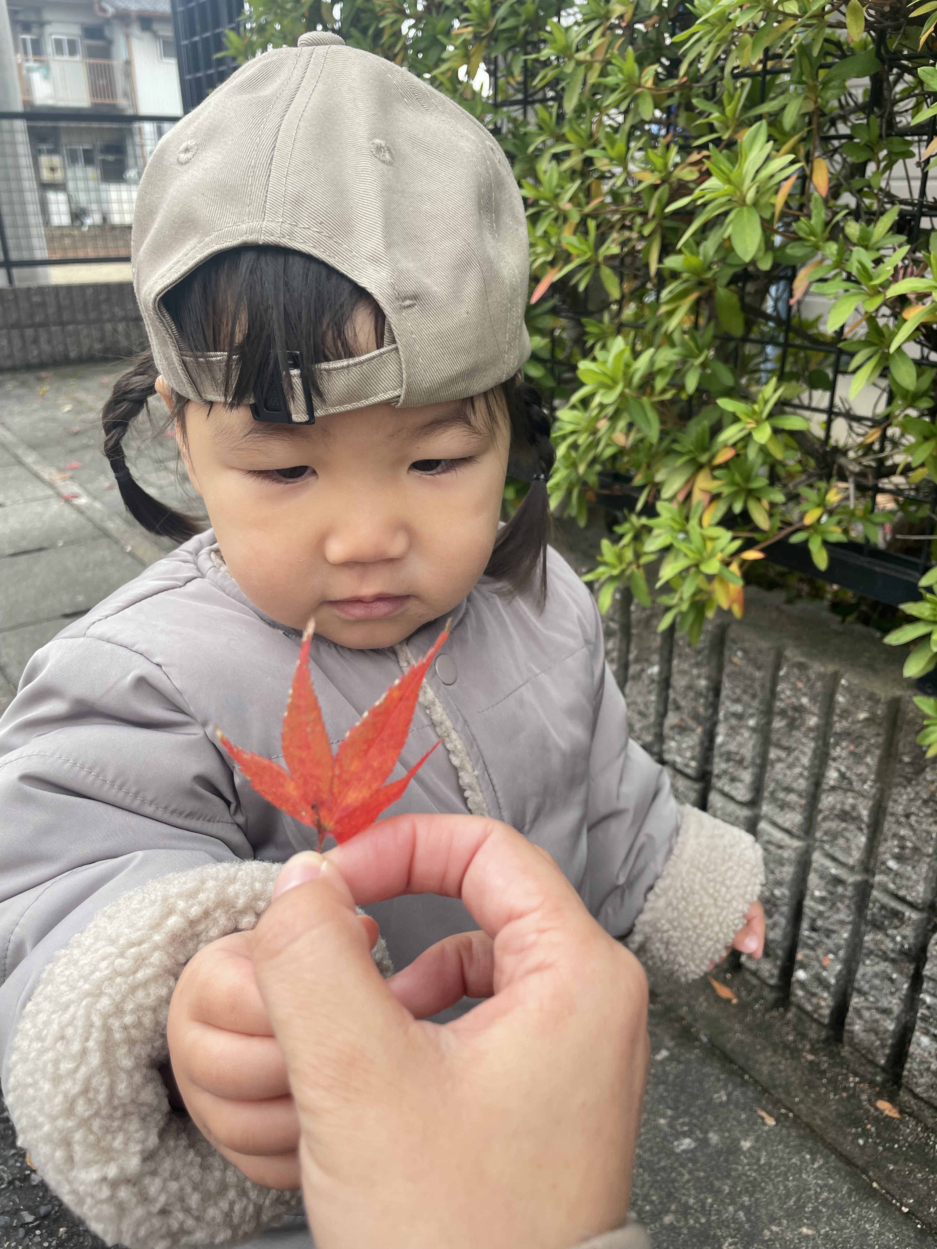 A9DB67C5-0E38-4B05-870E-DB775D8701B1