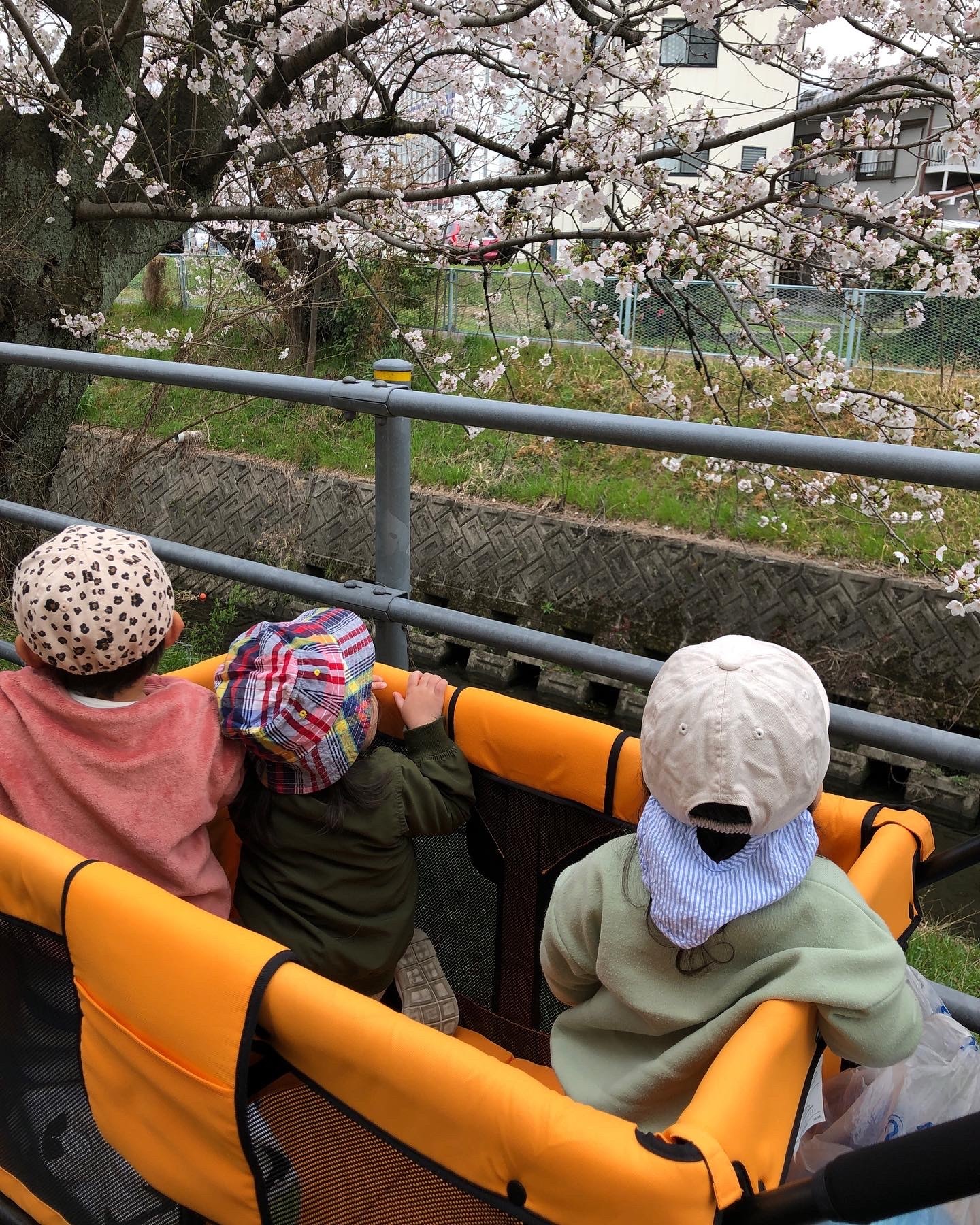 F1058E6C-E577-4DD9-8F73-478110E34E60