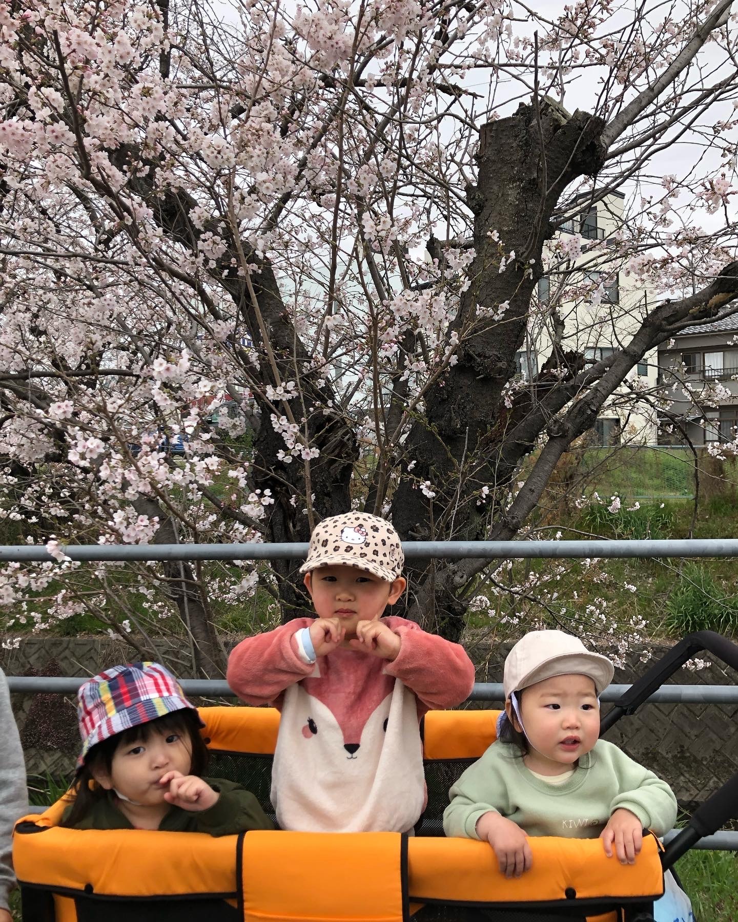 EE982AD1-41A2-4F03-9F89-E95274BC1843